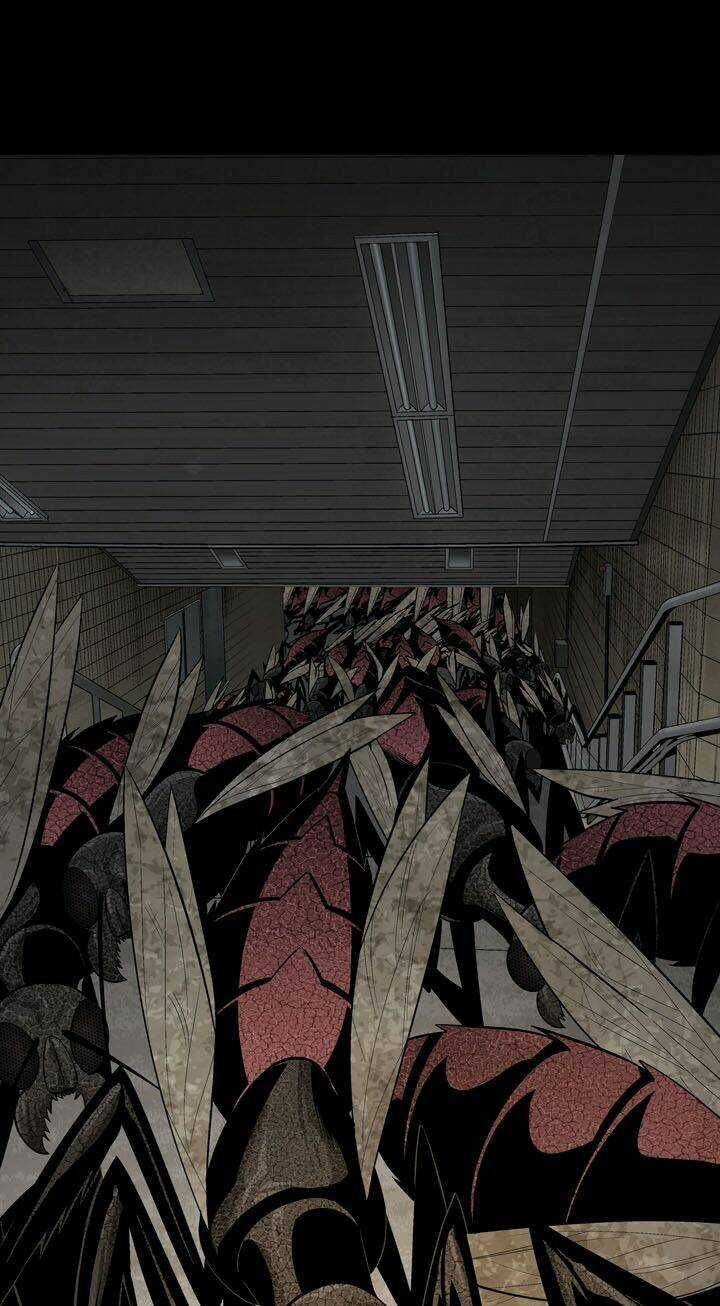 THẢM HỌA ONG ĐỘC - Chapter 85 - Trang 34