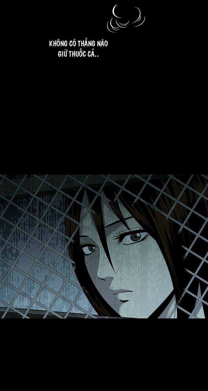 THẢM HỌA ONG ĐỘC - Chapter 89 - Trang 9