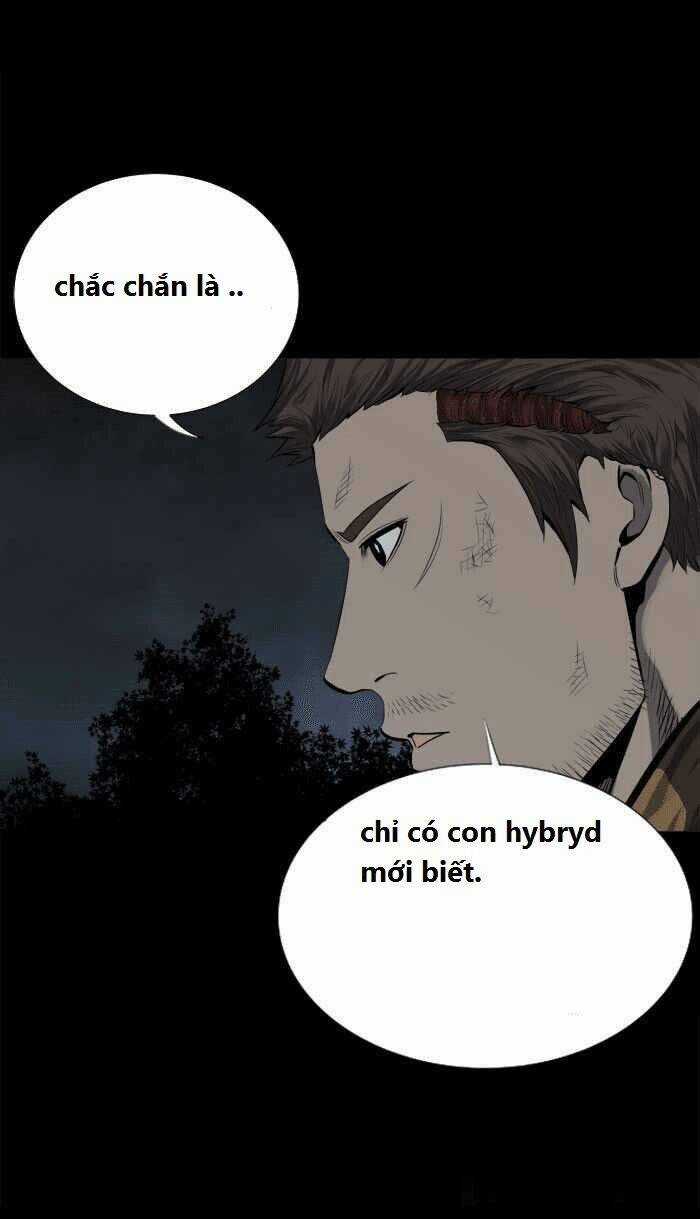 THẢM HỌA ONG ĐỘC - Chapter 93 - Trang 42