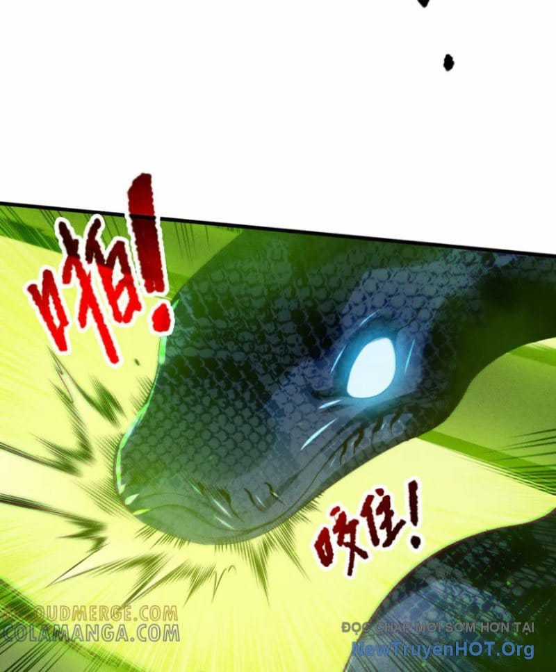 Thảm Họa Tử Linh Sư - Chapter 210 - Trang 17