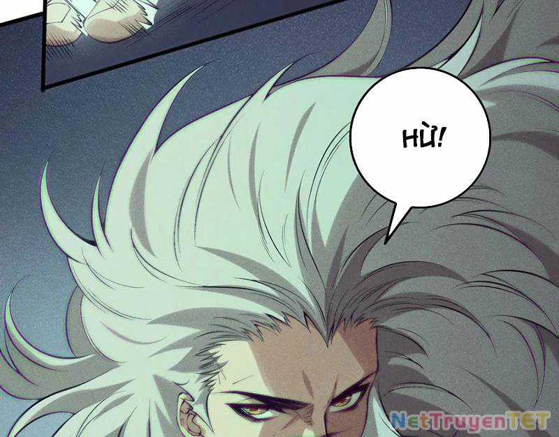Thảm Họa Tử Linh Sư - Chương 155 - Trang 32