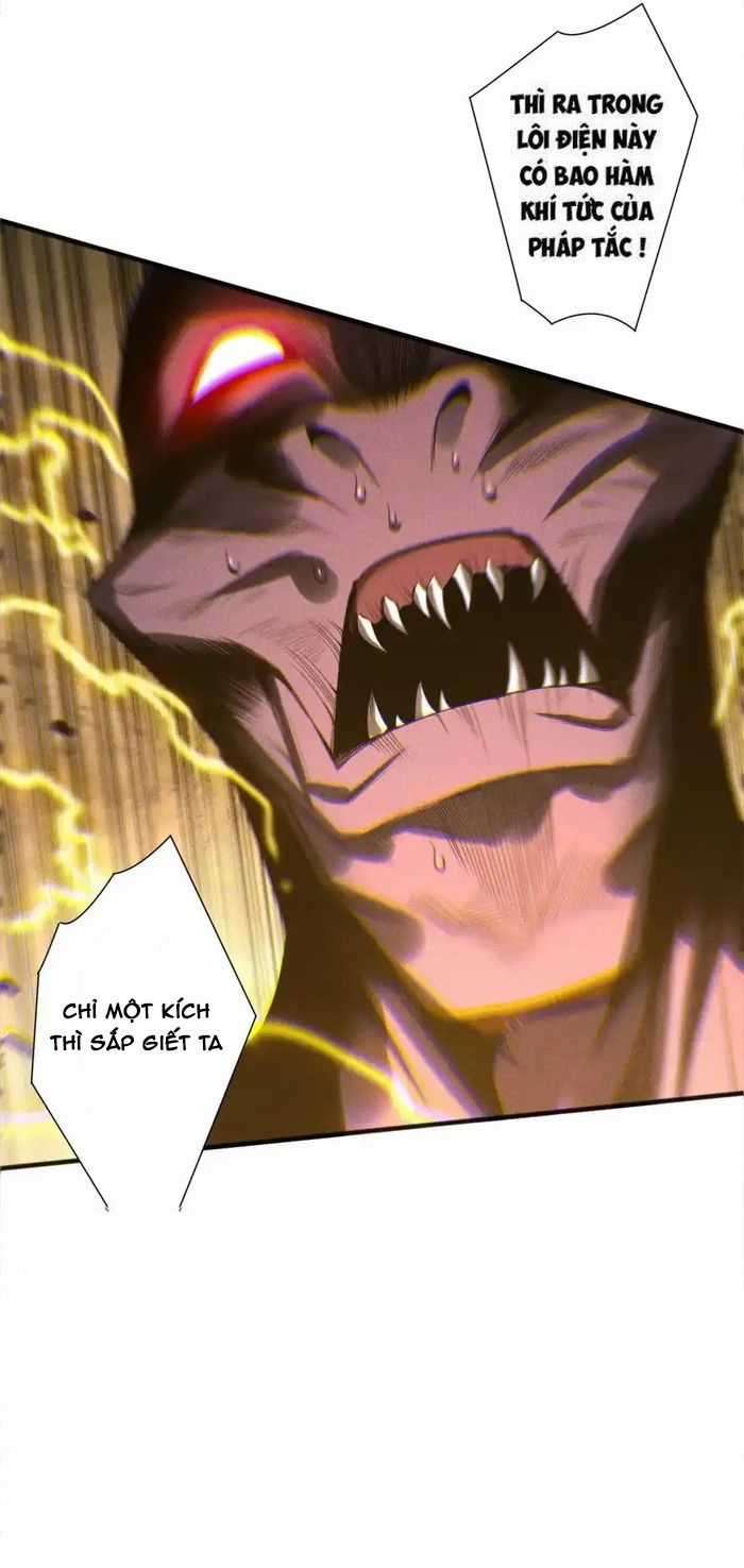 Thảm Họa Tử Linh Sư - Chương 232 - Trang 3