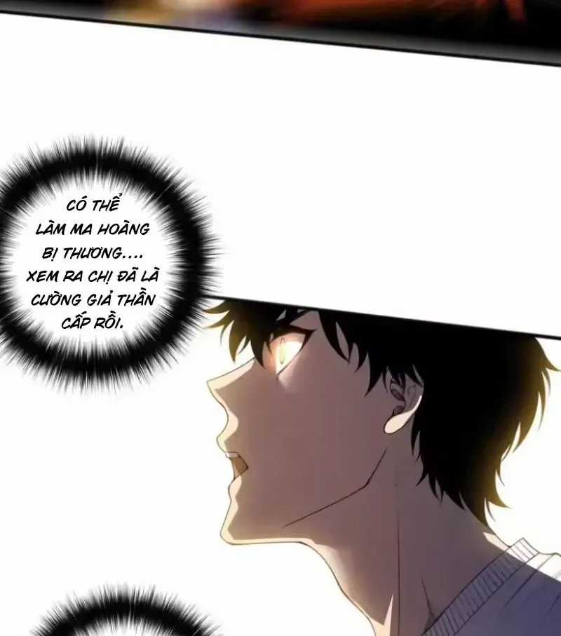 Thảm Họa Tử Linh Sư - Chương 252 - Trang 20