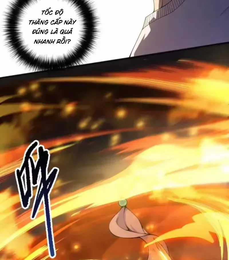 Thảm Họa Tử Linh Sư - Chương 252 - Trang 21