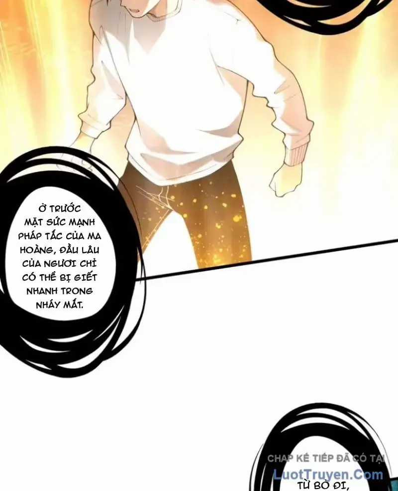 Thảm Họa Tử Linh Sư - Chương 252 - Trang 38