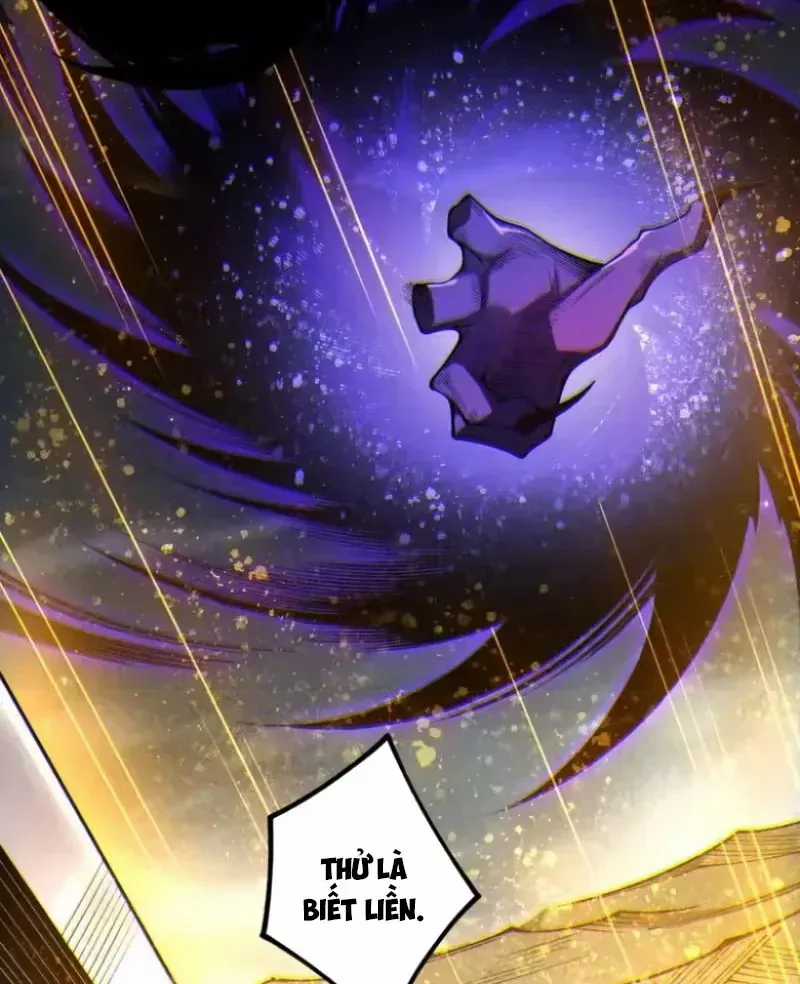 Thảm Họa Tử Linh Sư - Chương 252 - Trang 65
