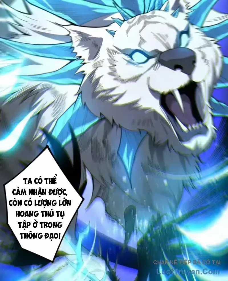 Thảm Họa Tử Linh Sư - Chương 252 - Trang 73