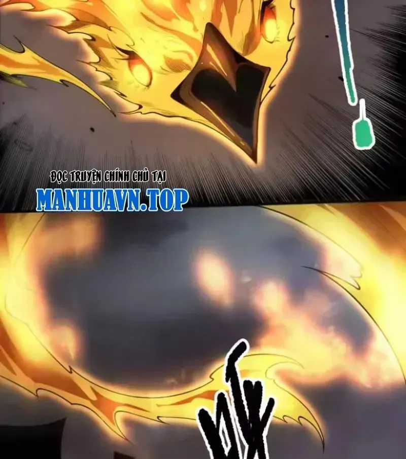 Thảm Họa Tử Linh Sư - Chương 252 - Trang 9