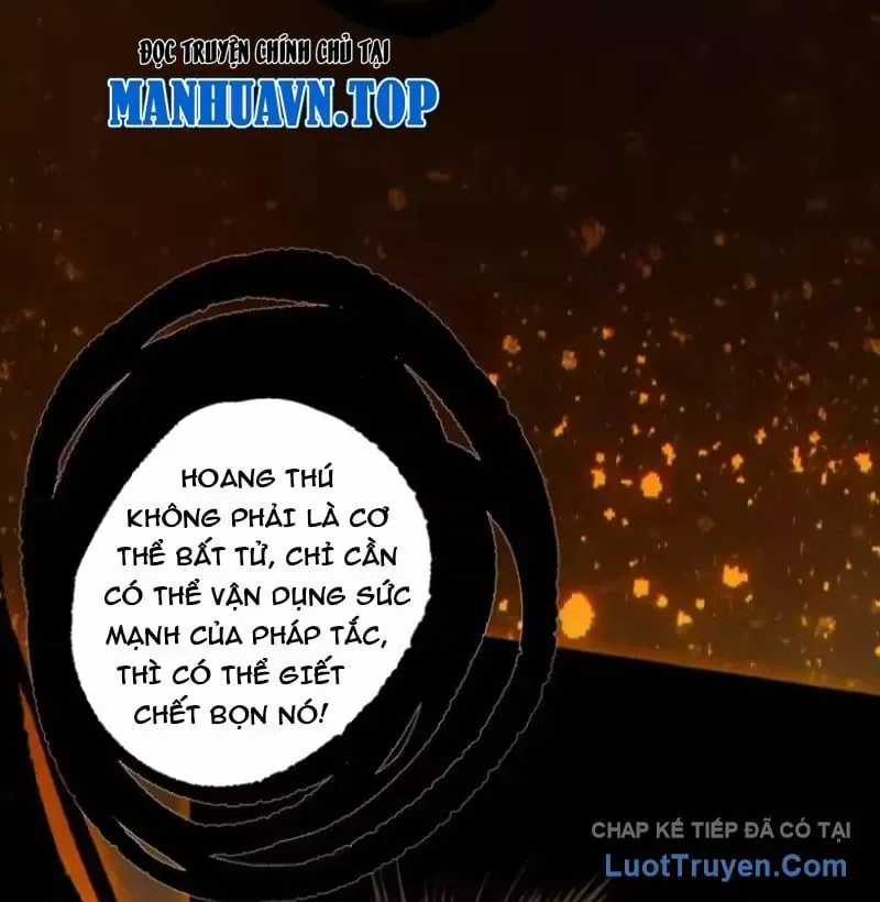 Thảm Họa Tử Linh Sư - Chương 252 - Trang 96