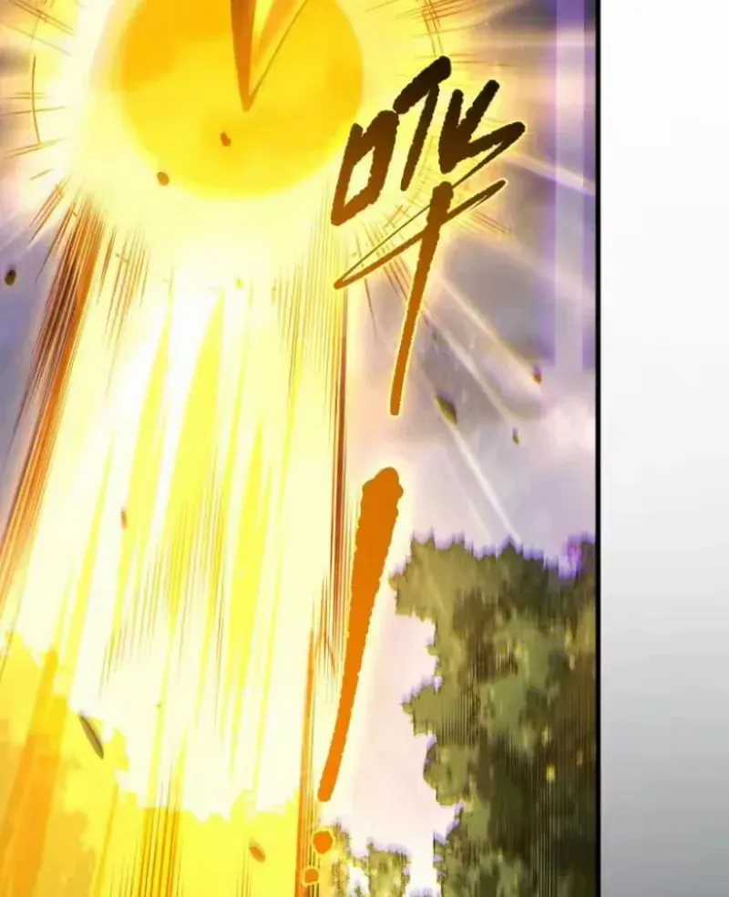 Thảm Họa Tử Linh Sư - Chương 253 - Trang 91