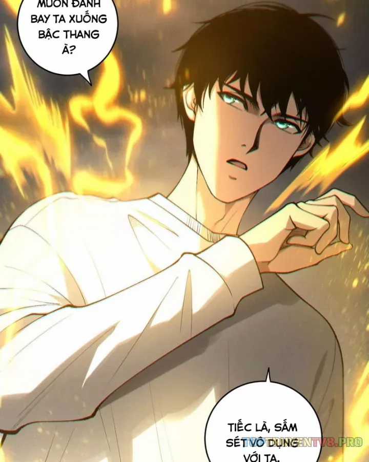 Thảm Họa Tử Linh Sư - Chương 261 - Trang 6
