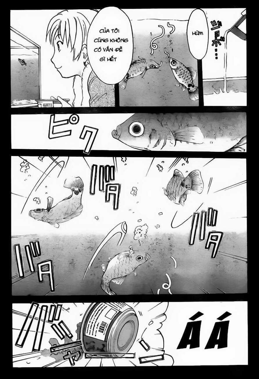 Thám Tử Kindaichi - Phần 2 - Chapter 100 - Trang 21