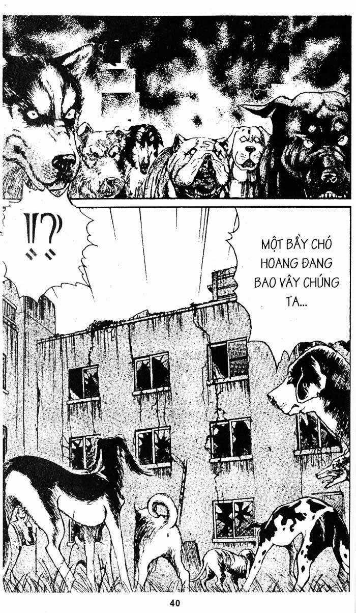 Thám Tử Kindaichi - Chapter 105 - Trang 41