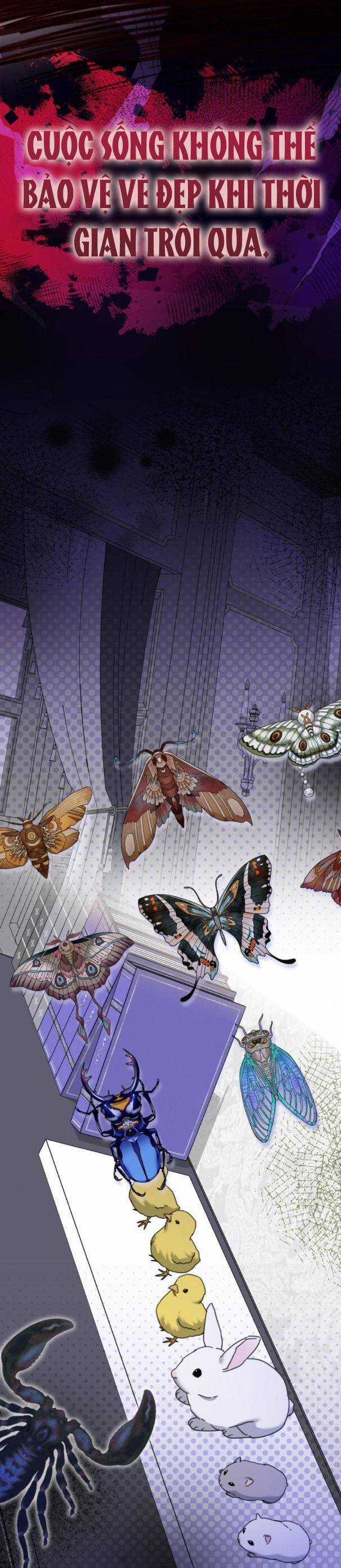 Thần Hổ Jangsan - Chapter 38 - Trang 27