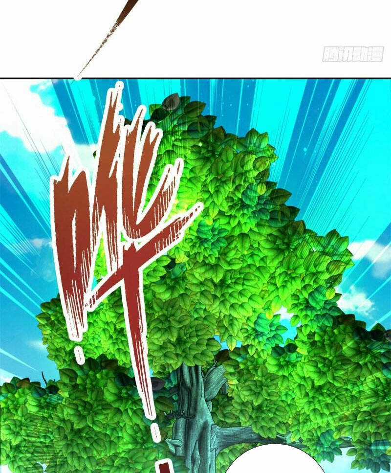 Thần Hồn Võ Đế - Chapter 242 - Trang 42