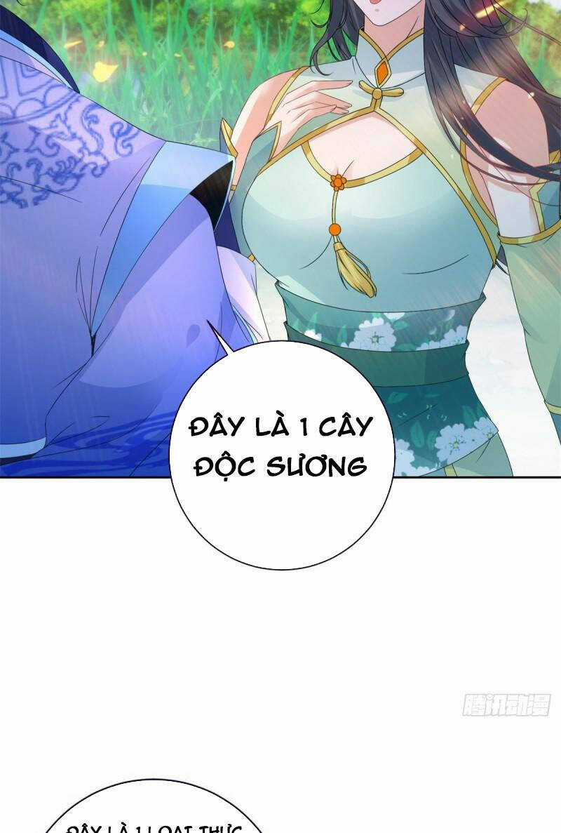 Thần Hồn Võ Đế - Chapter 243 - Trang 4