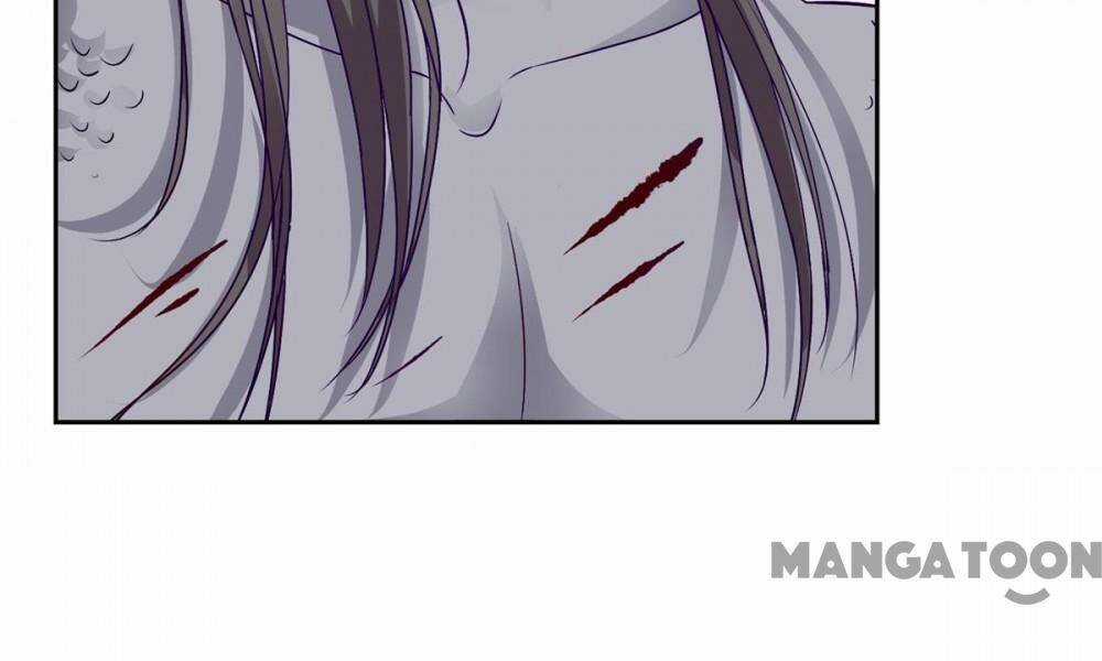 Thần Hồn Võ Đế - Chapter 278 - Trang 28