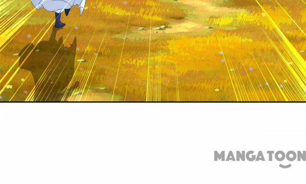 Thần Hồn Võ Đế - Chapter 284 - Trang 4