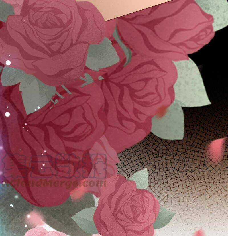 Thần Luân Mật Luyến - Chapter 116 - Trang 35