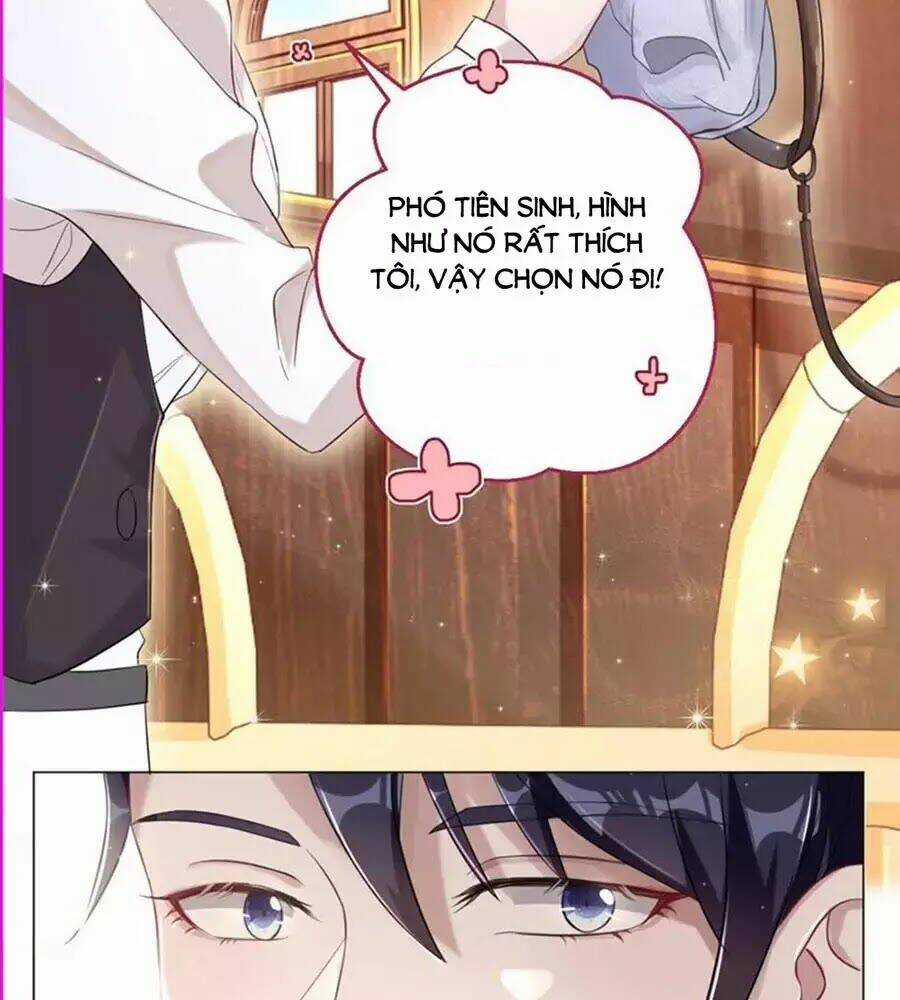 Thần Luân Mật Luyến - Chapter 40 - Trang 24