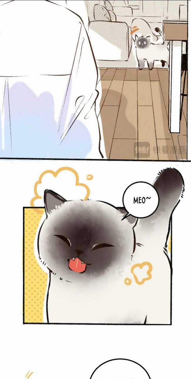 Thần Ơi, Mời Ăn Cơm! - Chapter 1 - Trang 16