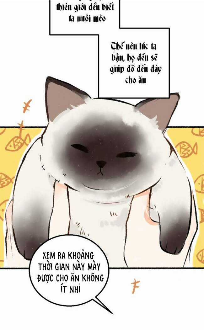 Thần Ơi, Mời Ăn Cơm! - Chapter 1 - Trang 20