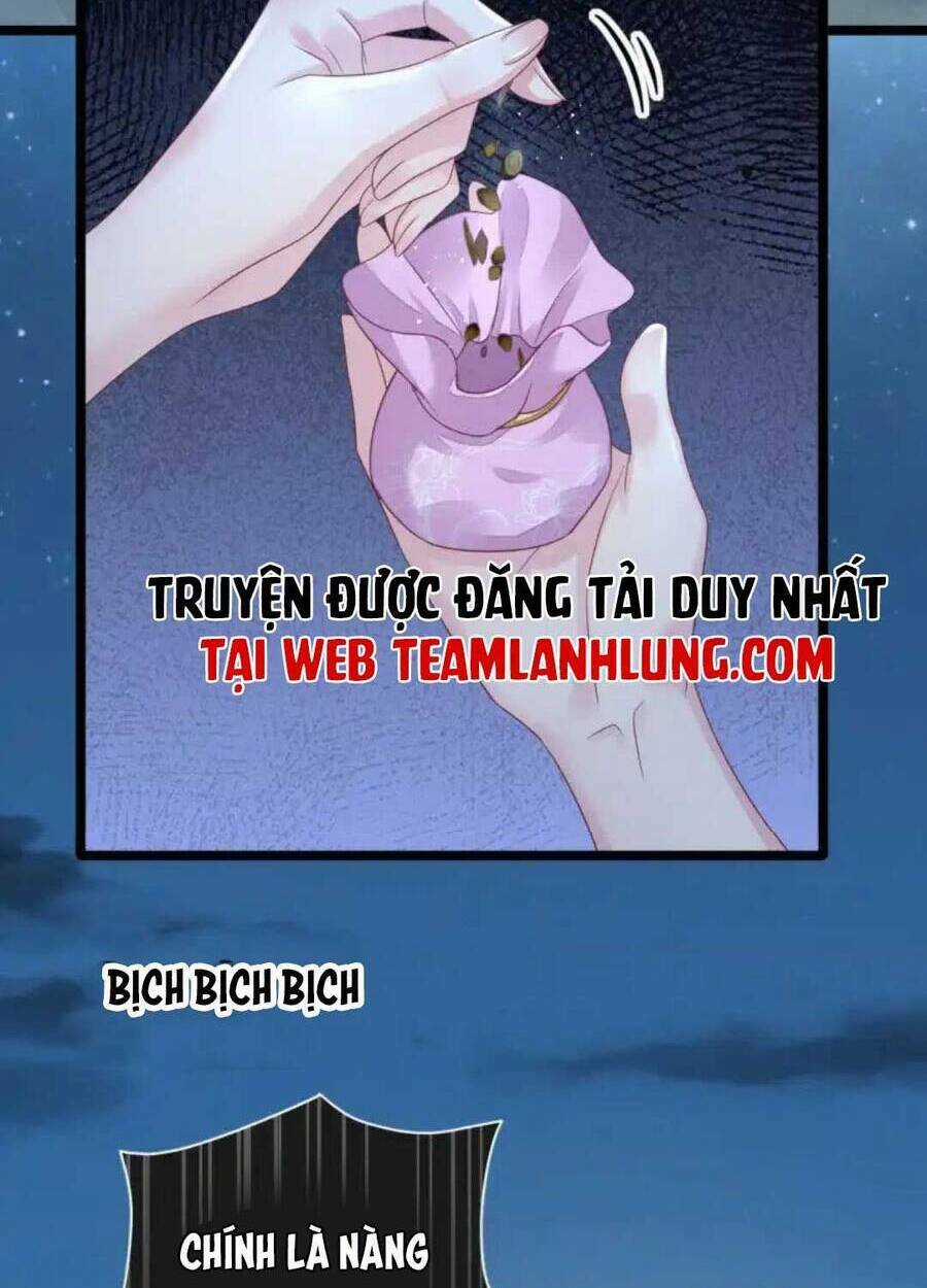 Thần Phi Ngự Thiên Hạ - Chapter 11 - Trang 45