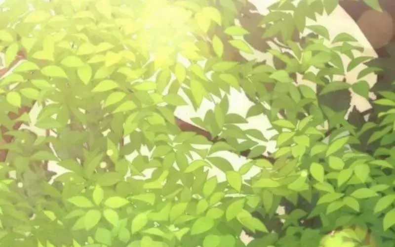 Thần Thịnh Vượng - Chương 12 - Trang 3