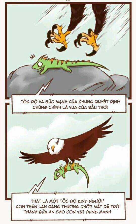 Thần Thú Ly Tán - Chapter 1 - Trang 35