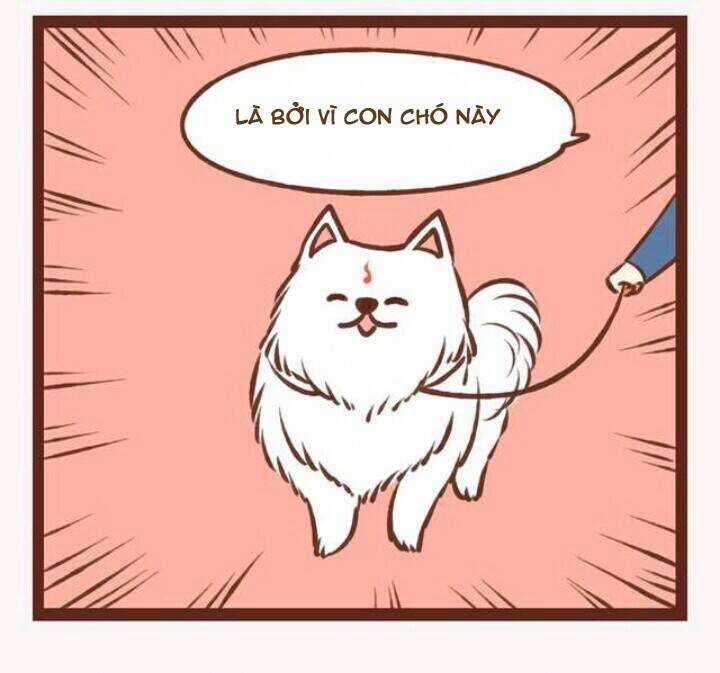 Thần Thú Ly Tán - Chapter 4 - Trang 33