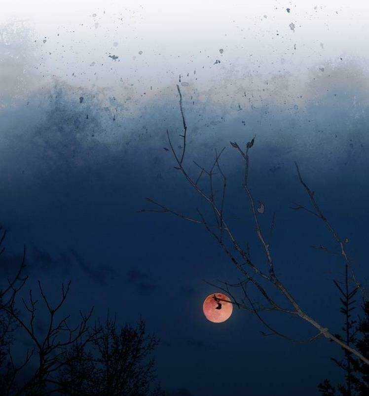 Thần Trạch - Chapter 18 - Trang 42