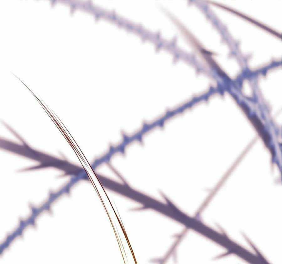 Thành Dã Tiêu Hà - Chapter 37 - Trang 73