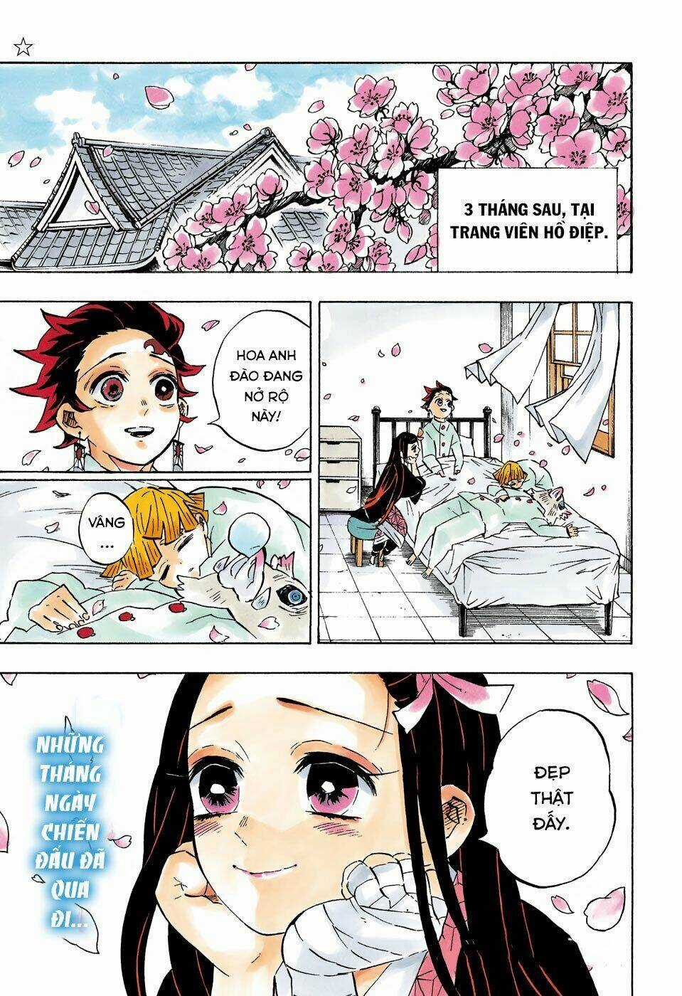 Thanh Gươm Diệt Quỷ - Chapter 204 - Trang 6