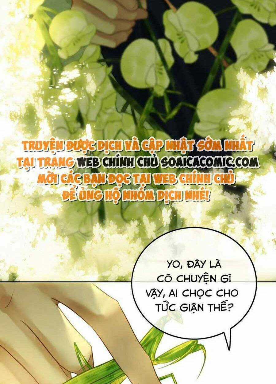 Thanh Hoan Tự - Chapter 31 - Trang 4