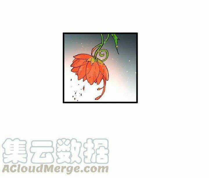 Thánh Khư - Chapter 81 - Trang 51