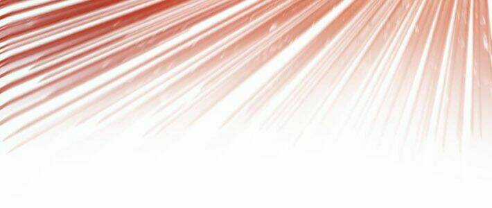 Thánh Khư - Chapter 99 - Trang 66