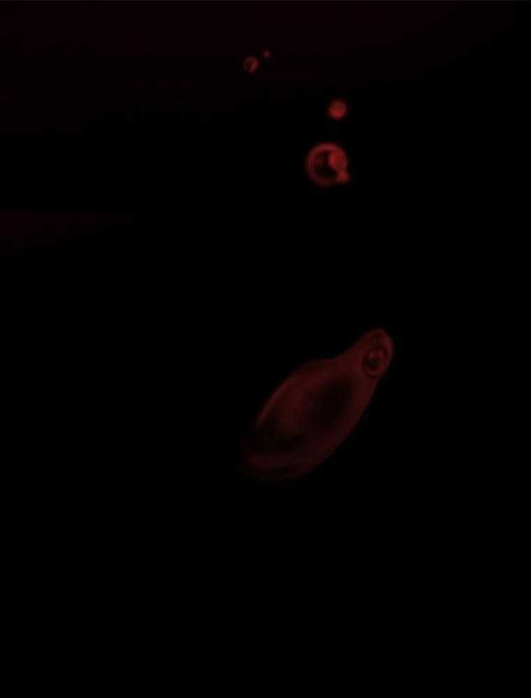 Thanh Kiếm Báo Thù - Chapter 2 - Trang 197