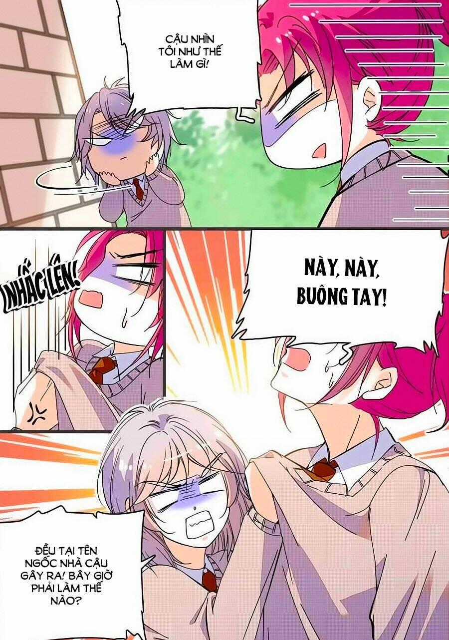 Thanh Ninh Chi Hạ - Chapter 310 - Trang 1