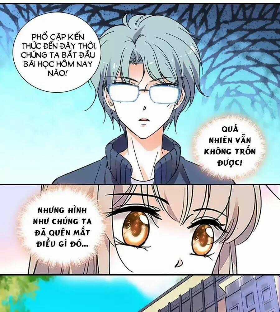 Thanh Ninh Chi Hạ - Chapter 444 - Trang 19