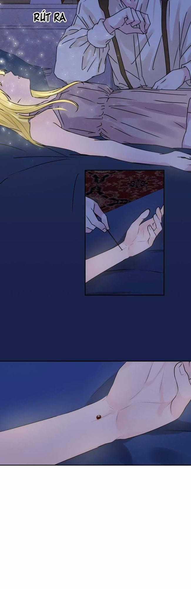 Thánh Nữ Ẩn Danh - Chapter 6 - Trang 2