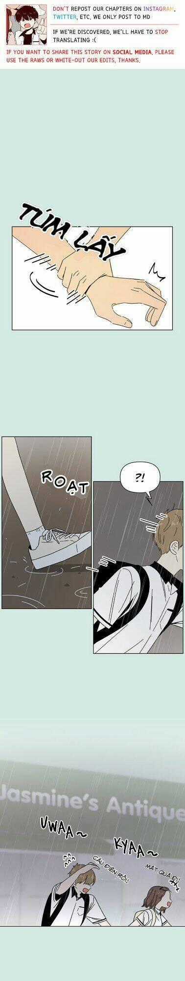 Thanh Xuân Rực Rỡ - Chapter 39 - Trang 2