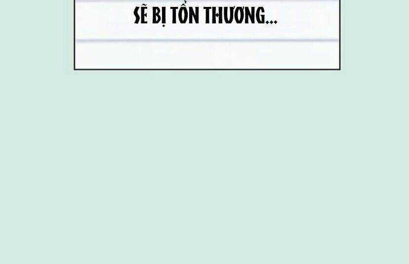 Thanh Xuân Rực Rỡ - Chapter 55 - Trang 50