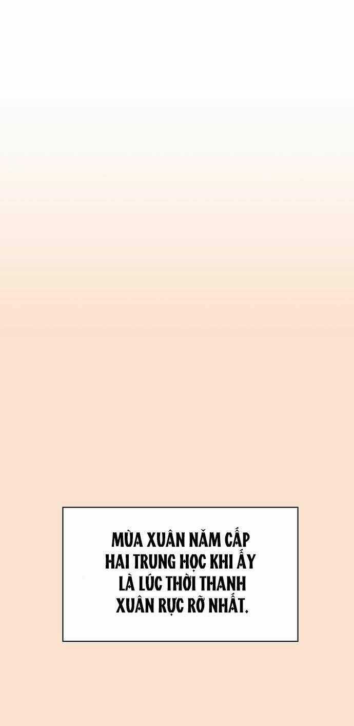 Thanh Xuân Rực Rỡ - Chapter 77 - Trang 2