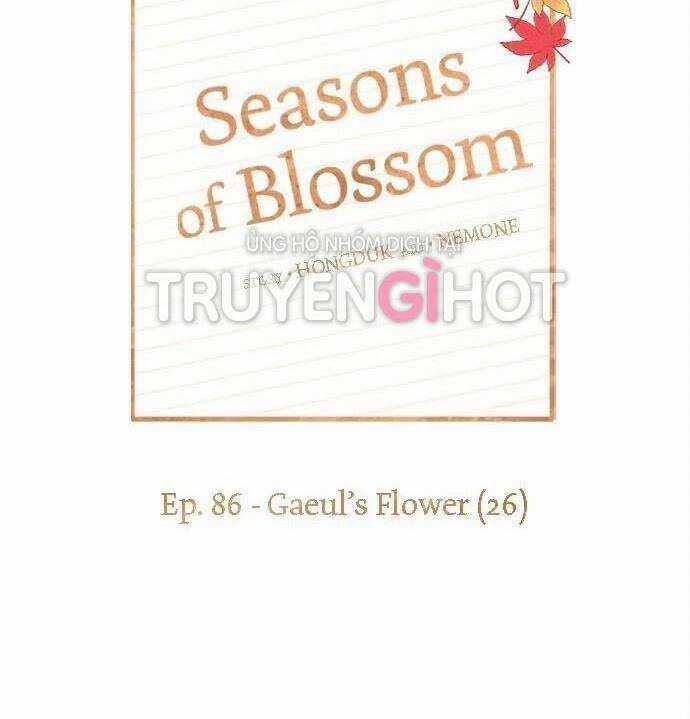 Thanh Xuân Rực Rỡ - Chapter 86 - Trang 61