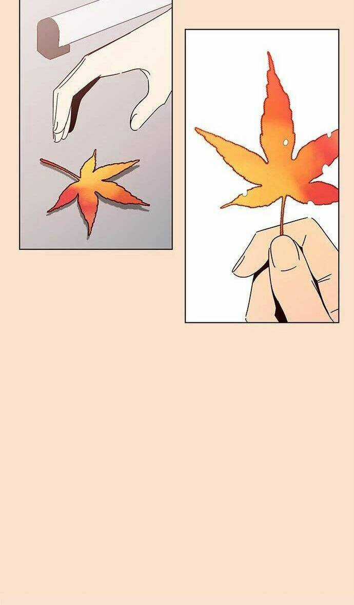 Thanh Xuân Rực Rỡ - Chapter 87 - Trang 5