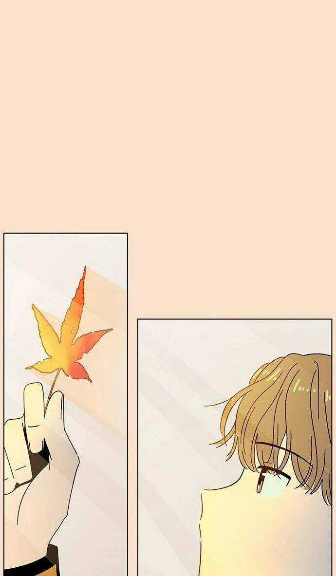 Thanh Xuân Rực Rỡ - Chapter 87 - Trang 8