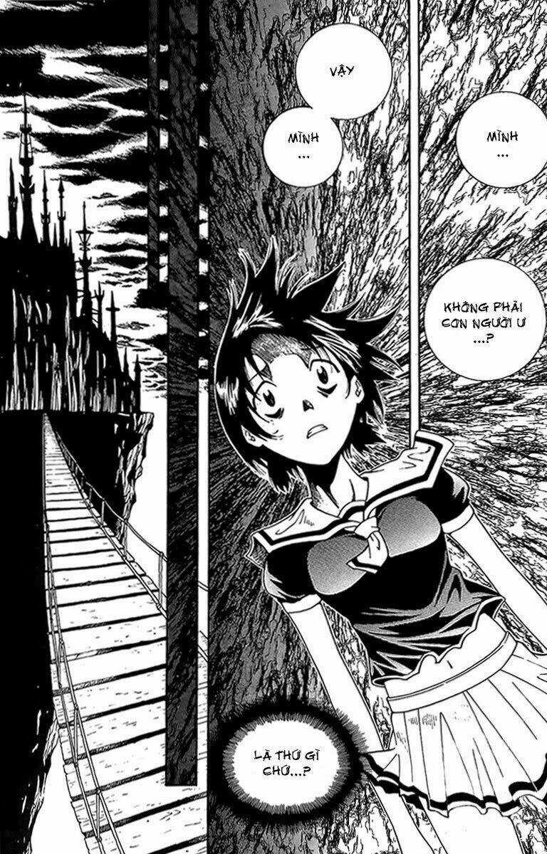 Thập Đại Hồng Côn - Chapter 45 - Trang 8