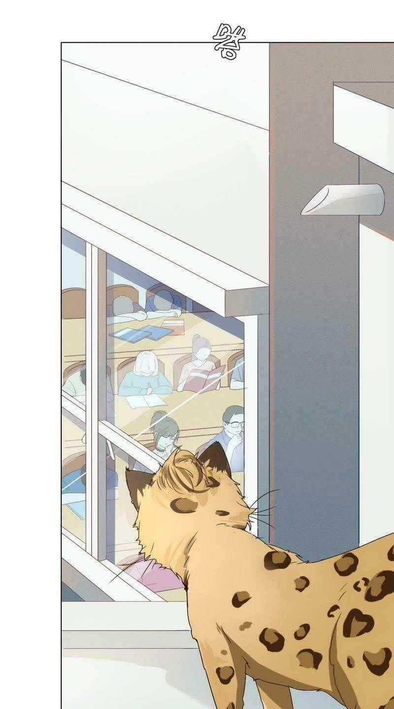 Thập Nhị Hắc Miêu - Chapter 1 - Trang 2