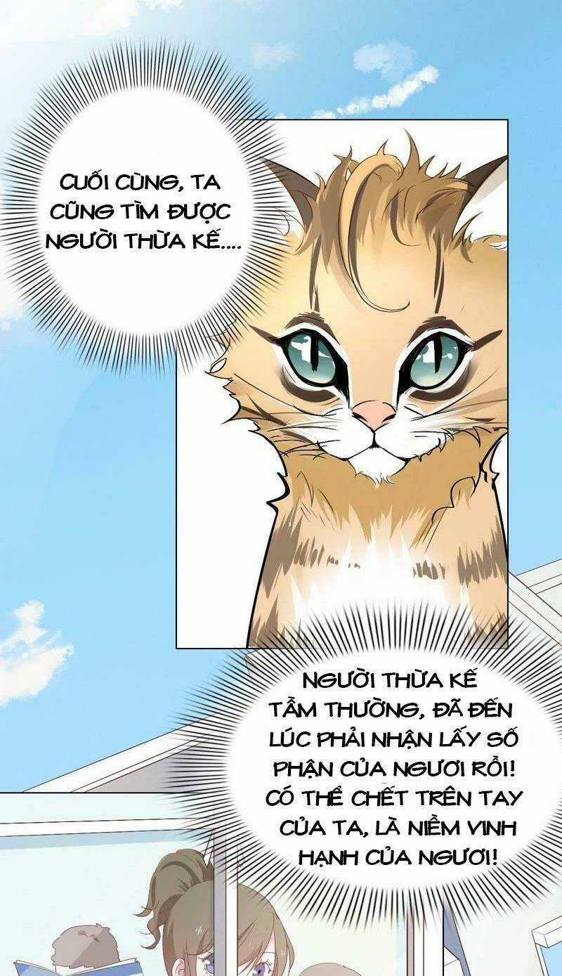 Thập Nhị Hắc Miêu - Chapter 1 - Trang 12