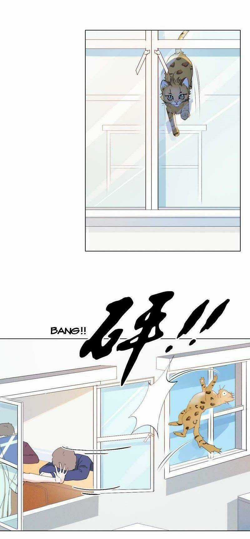 Thập Nhị Hắc Miêu - Chapter 1 - Trang 14